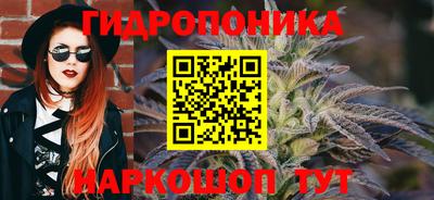 СК Новокубанск