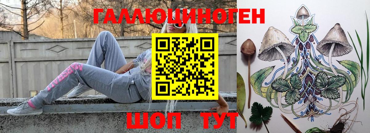купить  сайты  Вход с VPN  Советск  Псилоцибиновые грибы мицелий 